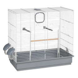 Descubre Jaula 613 Pájaros en la sección Jaulas para aves medianas