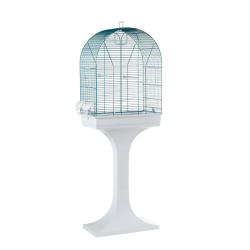 Descubre Jaula Para Pájaros en la sección Jaulas para aves medianas