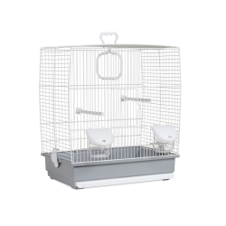 Descubre Jaula 641 Pájaros en la sección Jaulas para aves medianas