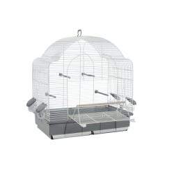 Descubre Jaula 653 Pájaros en la sección Jaulas para aves medianas